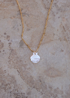 Close up of gold necklace with pearlescent mother of pearl scallop shell