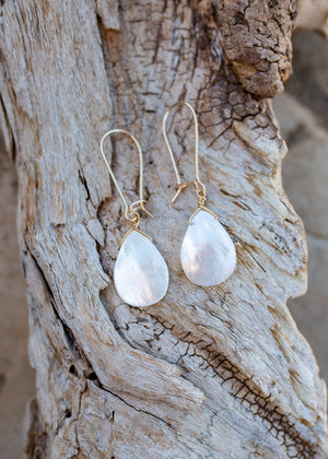 Thetis shell earrings on driftwood background